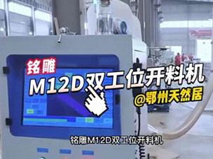 M12D雙工位數(shù)控開(kāi)料機(jī)到達(dá)鄂州天然居板材切割視頻