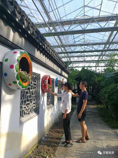 關于奇石文化園暫停開放的最新通知